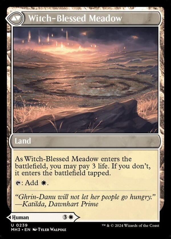 Witch Enchanter // Witch-Blessed Meadow (FOIL) - Imagen 2
