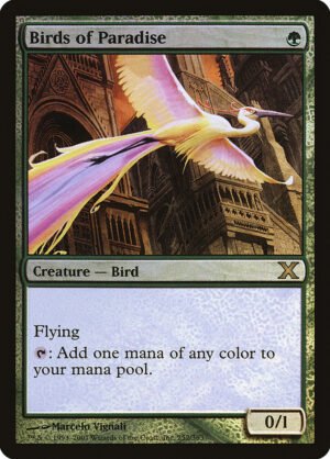 Birds of Paradise (FOIL)