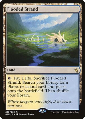 Flooded Strand (FOIL)