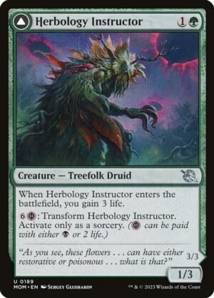 Herbology Instructor // Malady Invoker (FOIL)